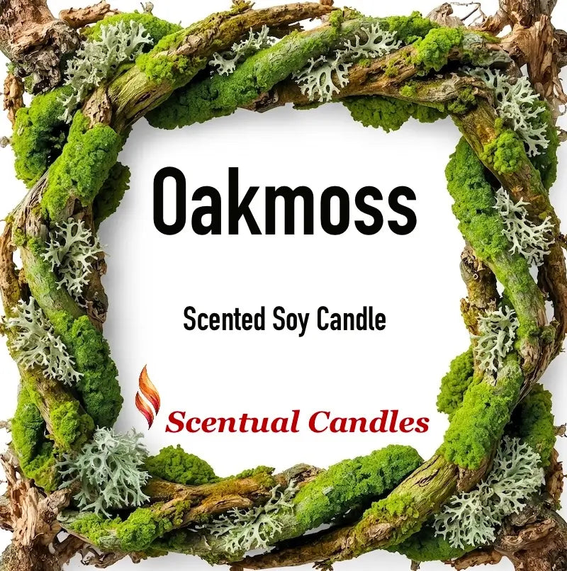 Oakmoss Candle surrounded by moss and twigs, representing fresh and woody fragrance.