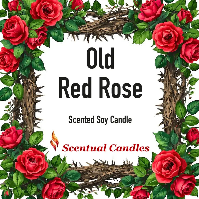 Rose Candle - Old Red Rose scented soy candle surrounded by vibrant red roses and greenery.