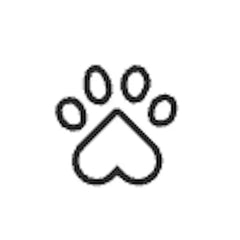 Animal Cruelty Free