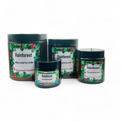 Set of four Rainforest scented candles with decorative labels on a white background