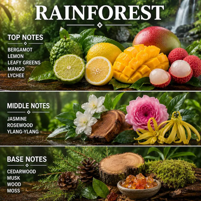 Rainforest scented candle displaying fruit and floral elements on a forest background.