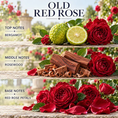 Rose Candle - Old Red Rose notes with bergamot, rosewood, and red rose petals on display in a garden setting.