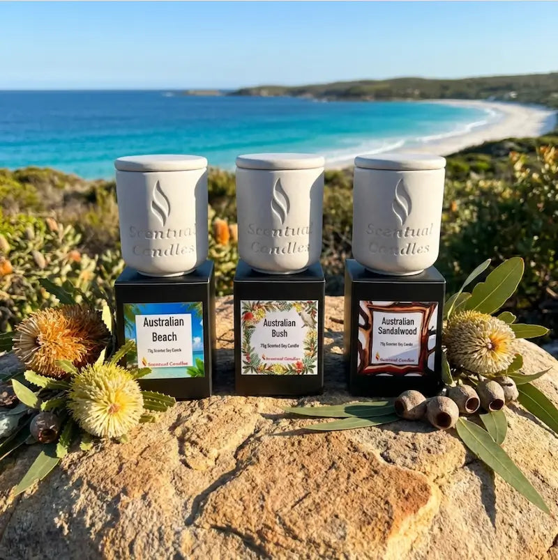 Scented Candle Trio featuring Australian Beach, Australian Bush, and Australian Sandalwood set against a scenic coastal backdrop.