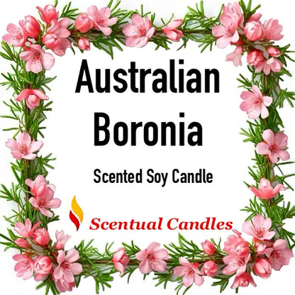 Scented soy candle packaging with Australian Boronia flowers and 'Scentual Candles' branding.