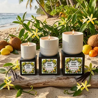Tahitian Vanilla gourmet scented soy candles displayed on a beach with tropical plants and fruits.
