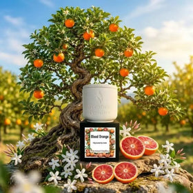 Blood Orange Candle - Citrus with Depth