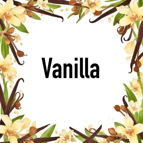 Vanilla Scented Candle surrounded by elegant vanilla flowers and pods, capturing luxurious fragrance and creamy ambiance.
