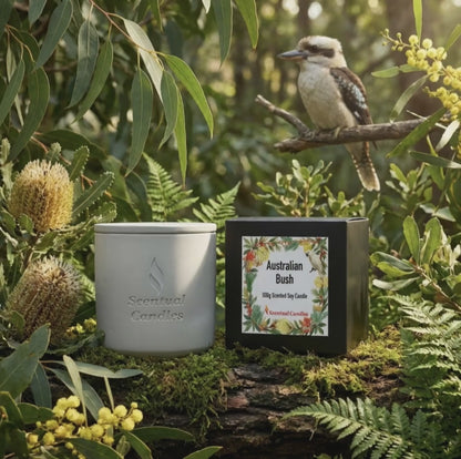 Australian Bush Candle – Eucalyptus, Lemon Myrtle & Pine
