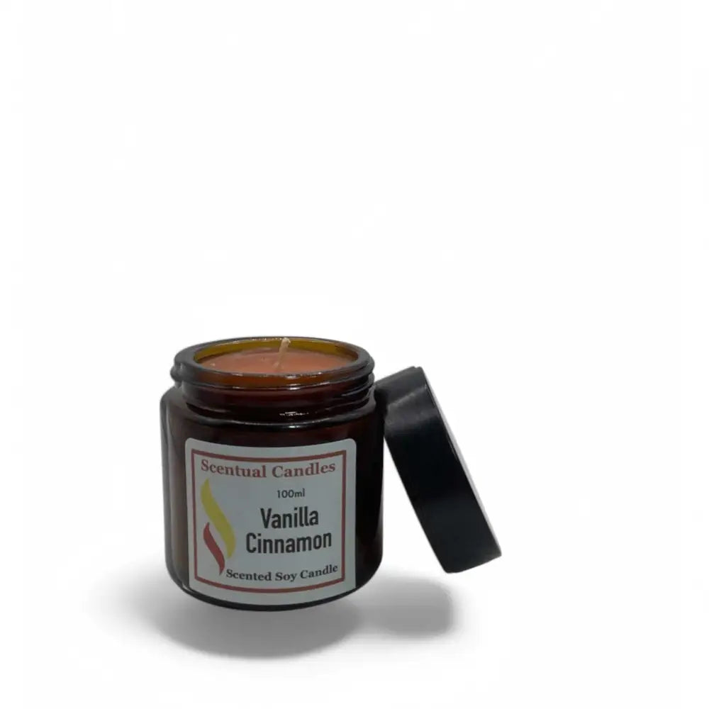 100g Vanilla and Cinnamon Scented Soy Candle